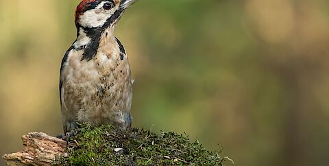 Foto van onze collega Jelani