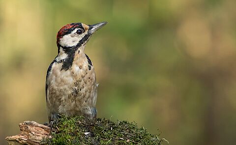 Foto van onze collega Samantha